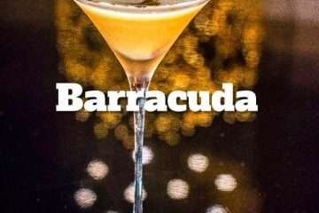 Barracuda preview